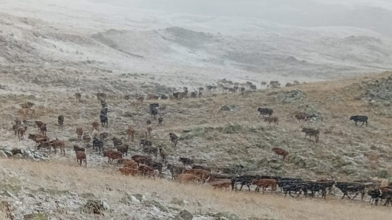 Erzurum’da yüksek kesimlere kar yağdı