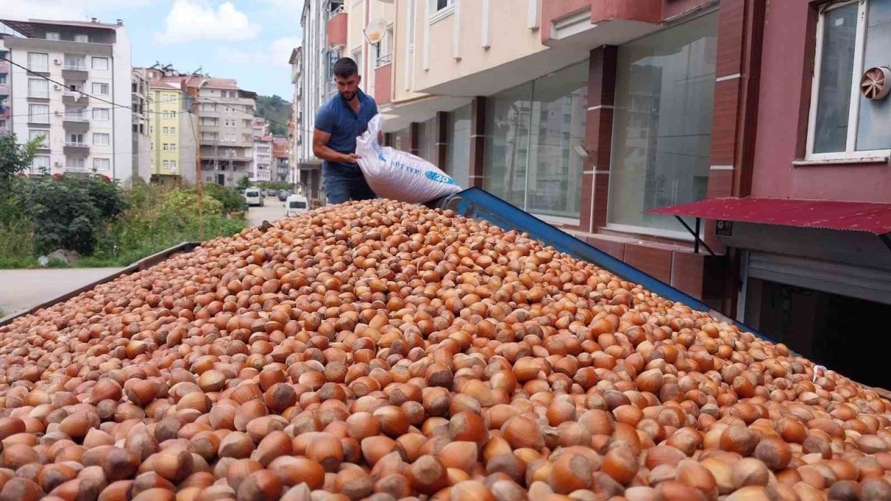 Fındık ihracatında çıta yükseliyor