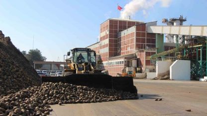 Amasya’da zirai don ve kuraklık şeker pancarını vurdu: 10 bin dekarlık alanda üretim yapılamadı