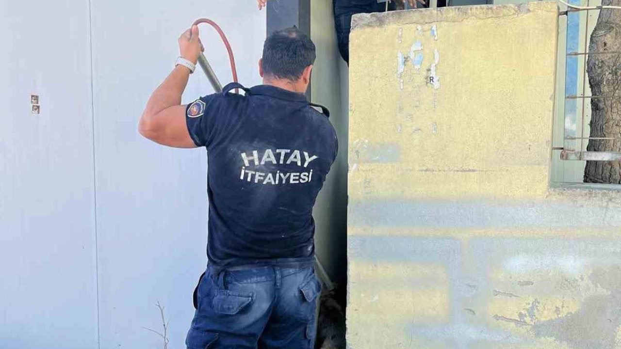 Duvar ile konteyner arasında sıkışan köpeği itfaiye kurtardı