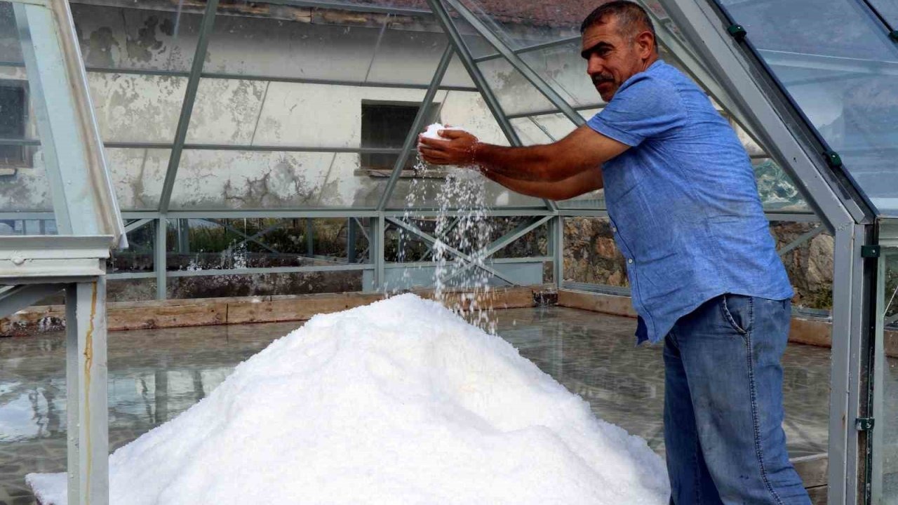 Erzincan’ın dağlarından sofralara