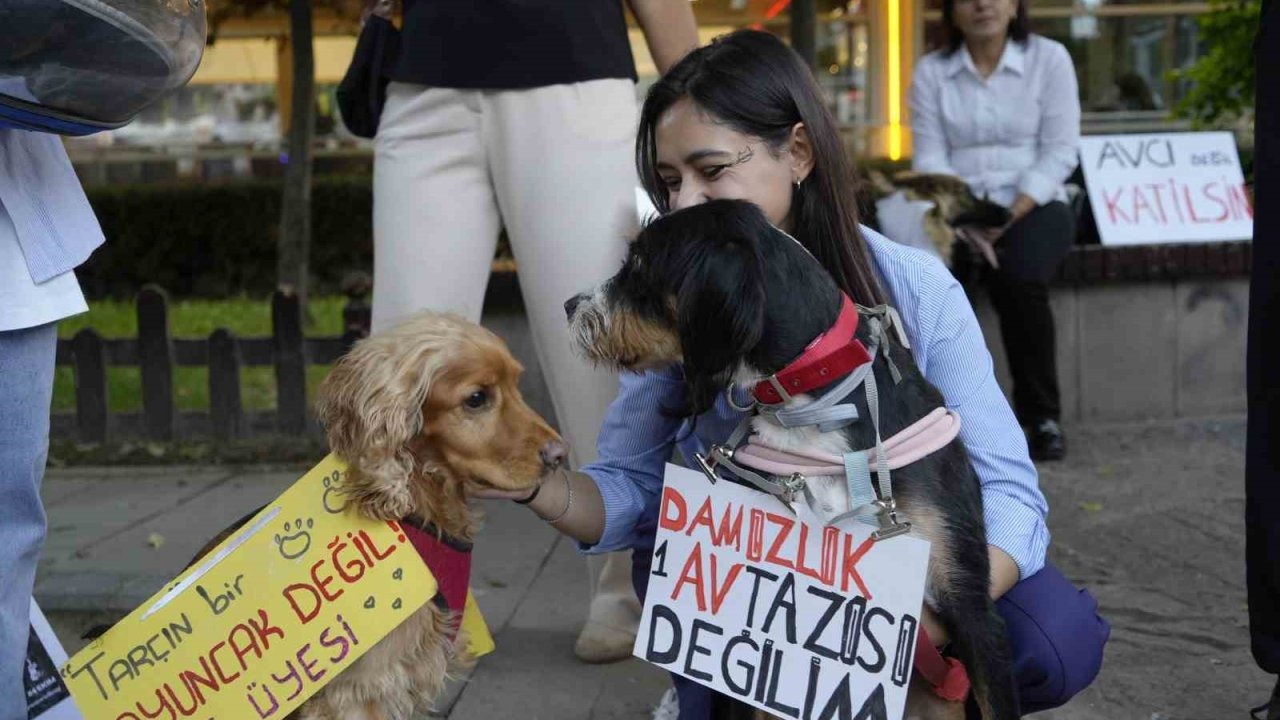 Gümüşhane’de ’Hayvanları Koruma Günü’nde anlamlı yürüyüş