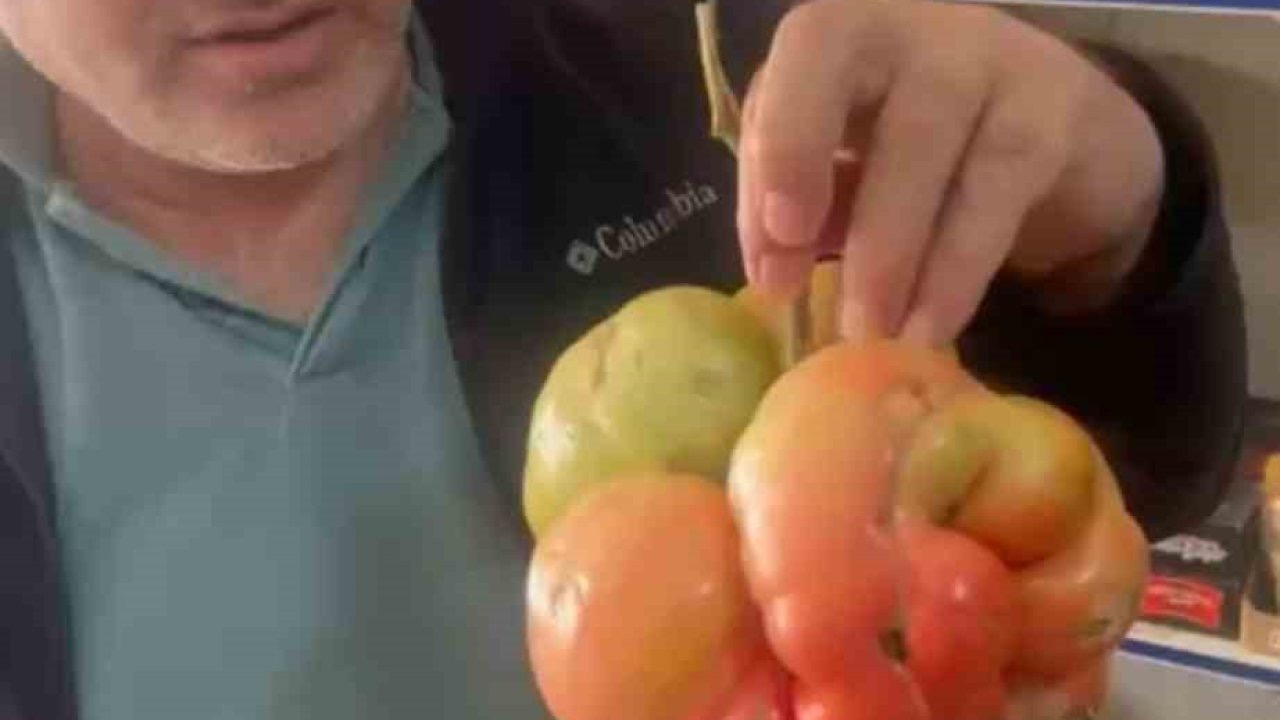 Mardin’de 1 kilo 400 gramlık domates hayrete düşürdü