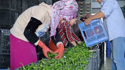 Antalya Ticaret Borsası Ekim ayı hal endeksi açıklandı