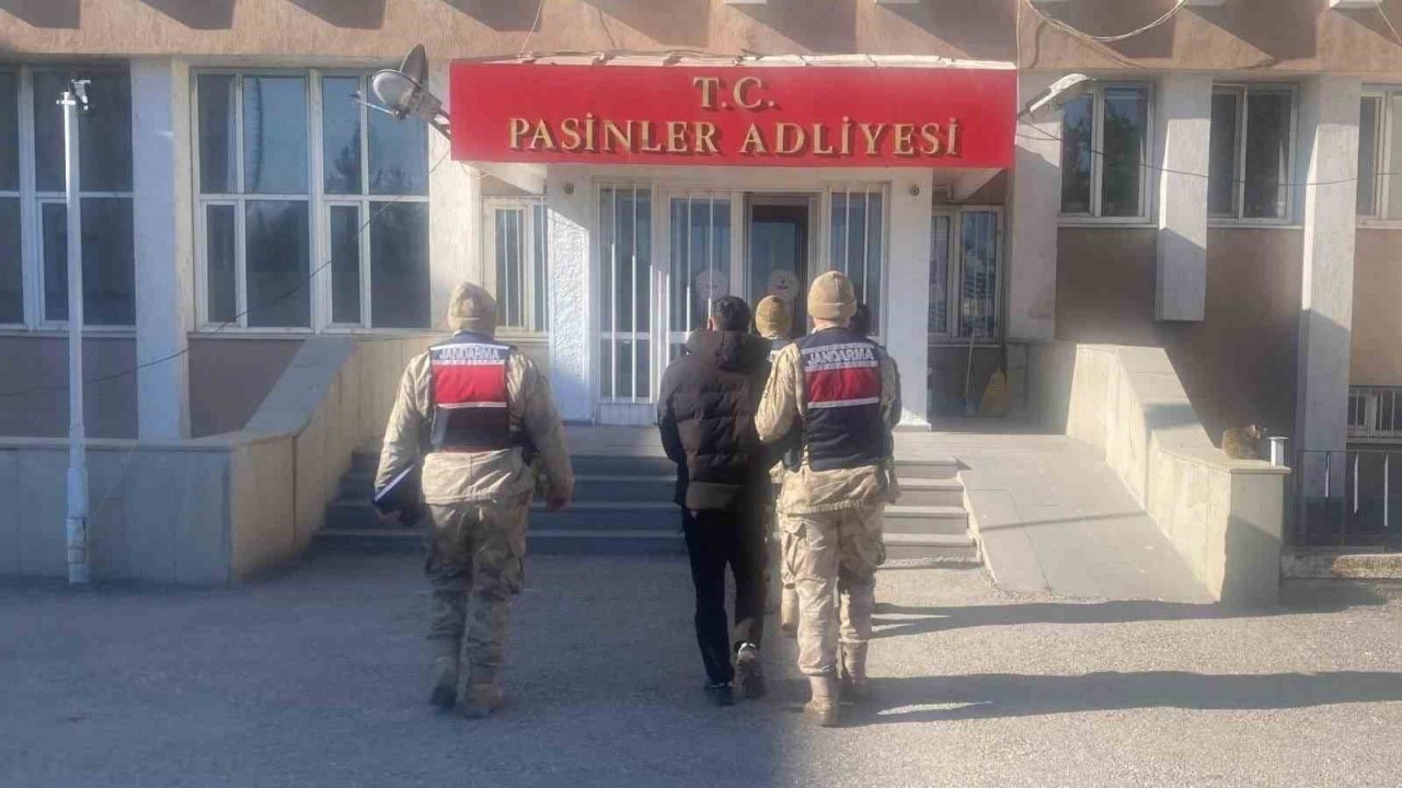 Jandarma büyükbaş hayvan hırsızlarını kısa sürede yakaladı