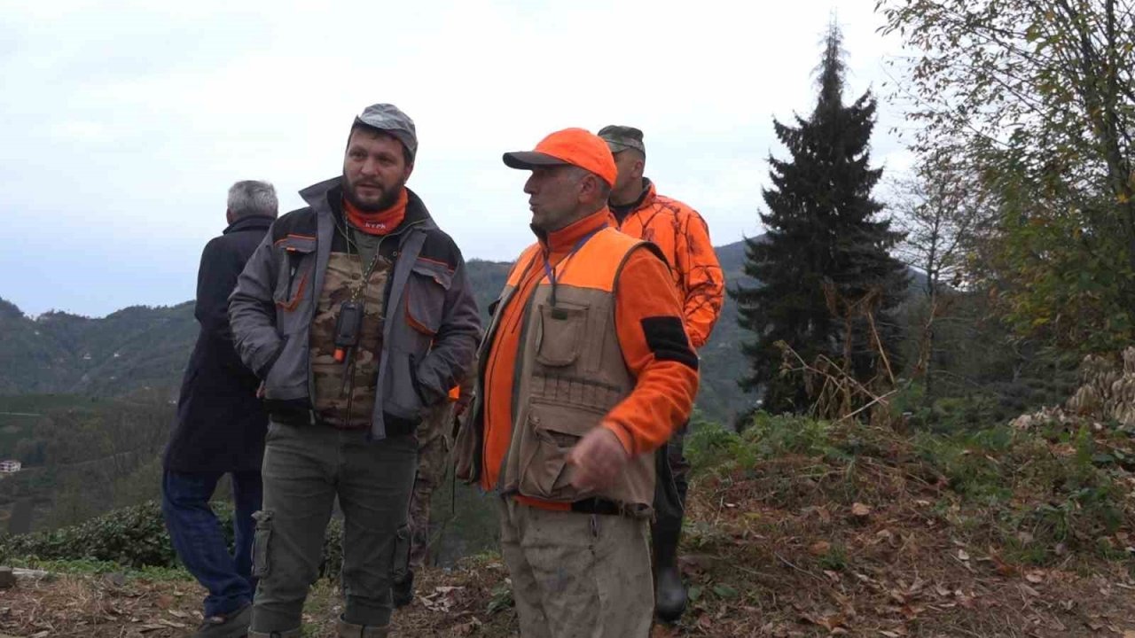 Rize’de ayı için sürek avı başlatıldı