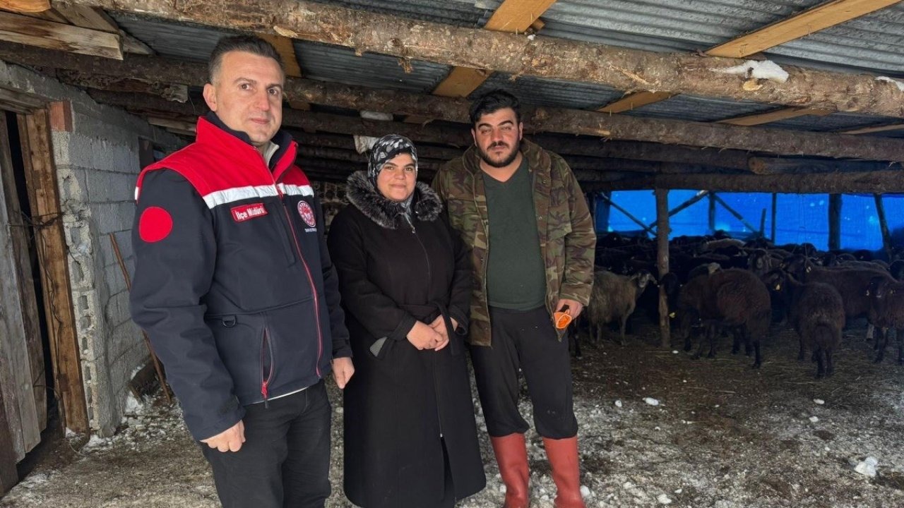 Hayvancılığa yeni başlayan üreticilere destekler sürüyor