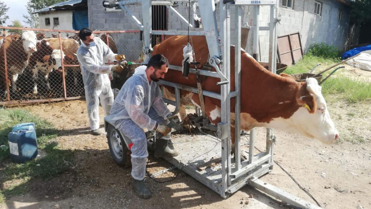 Kırsalda üretim soğuk zincirle değer kazanıyor