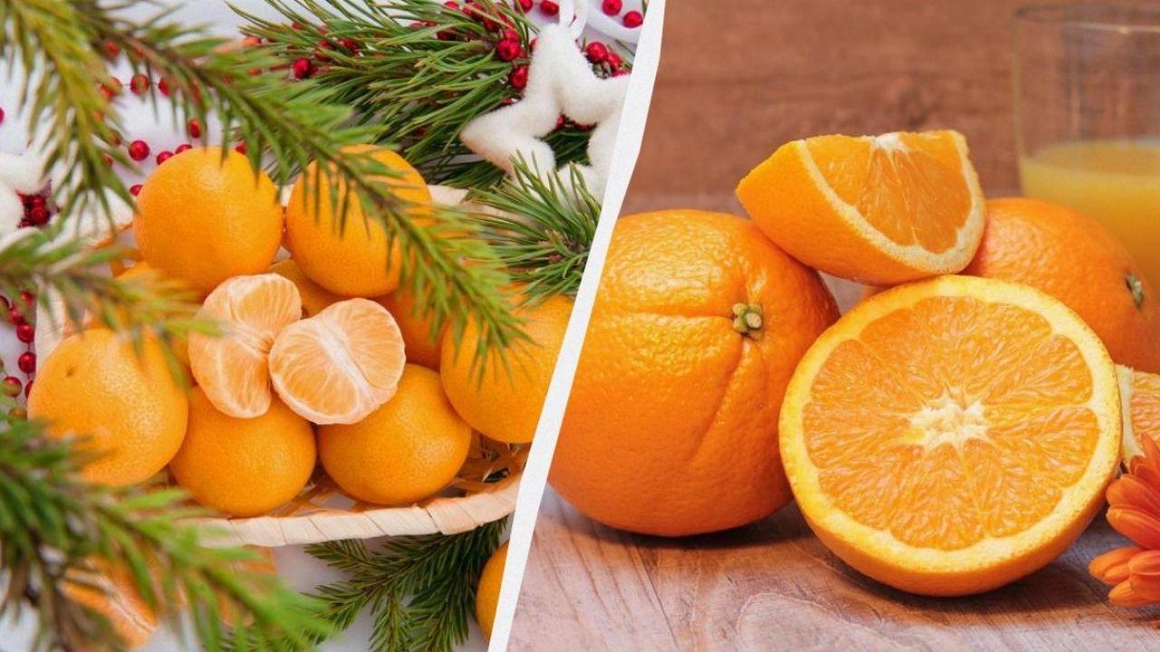 Mandalina mı, portakal mı: Beslenme uzmanları hangi meyvenin daha sağlıklı olduğunu açıkladı