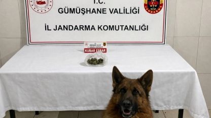 Gümüşhane’de uyuşturucu operasyonu