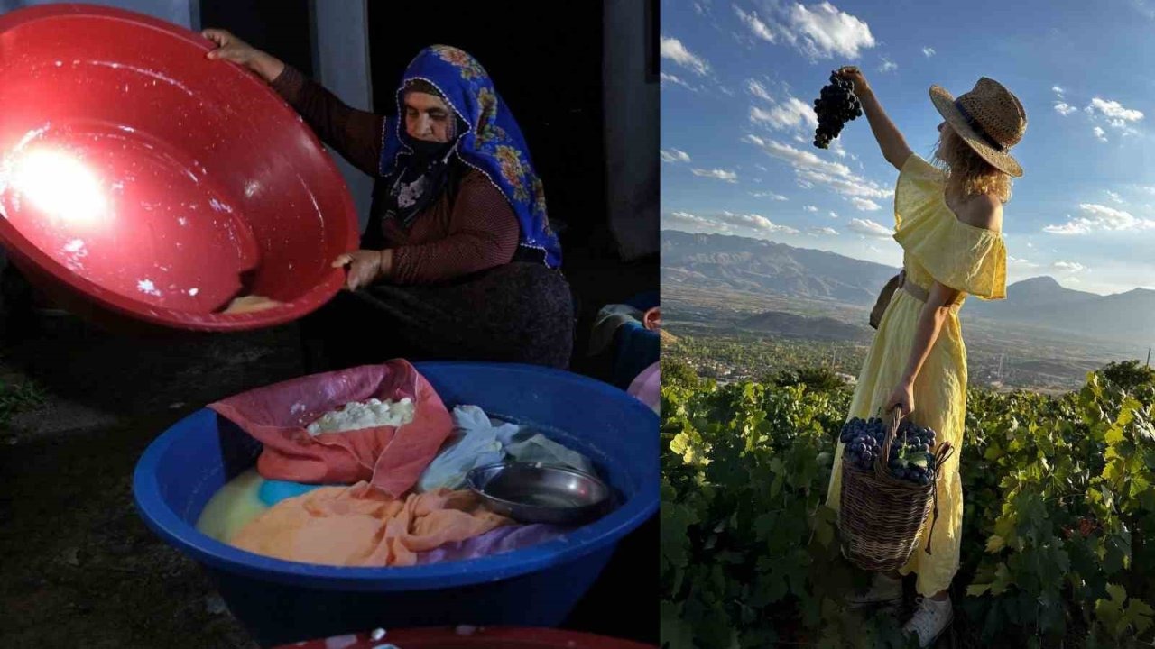 Erzincan Tulum Peyniri ve Cimin Üzümü dünya çapında tescillendi