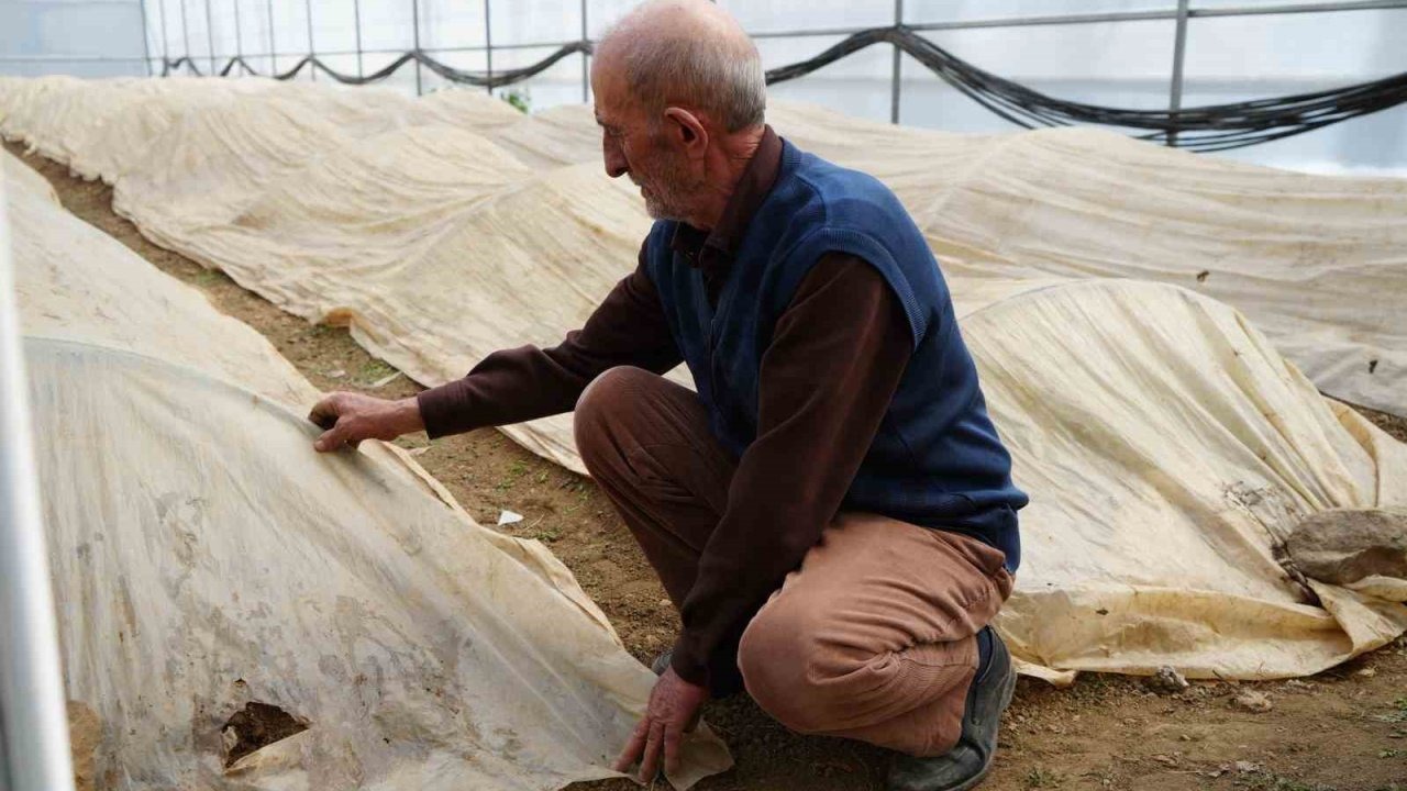 76 yaşındaki Bayburtlu üretici ata tohumları için zirai don nöbetinde