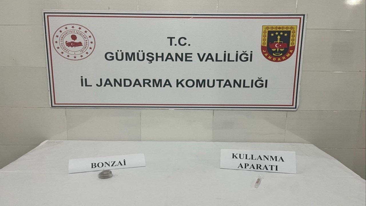 Gümüşhane’de uyuşturucu operasyonunda 1 şüpheli yakalandı