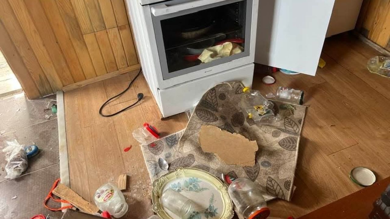 Kış uykusu bitti, ayı istilası başladı