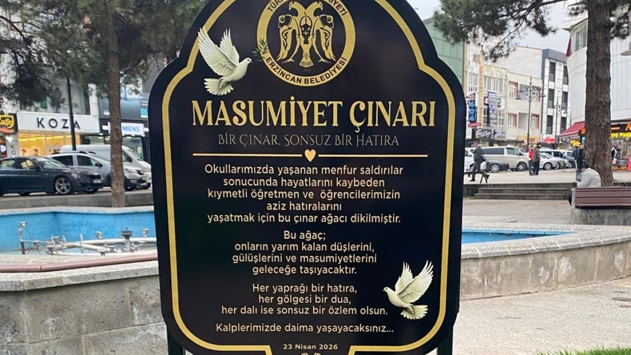 "Masumiyet Çınarları" kaybedilen canların hatırası için dikildi