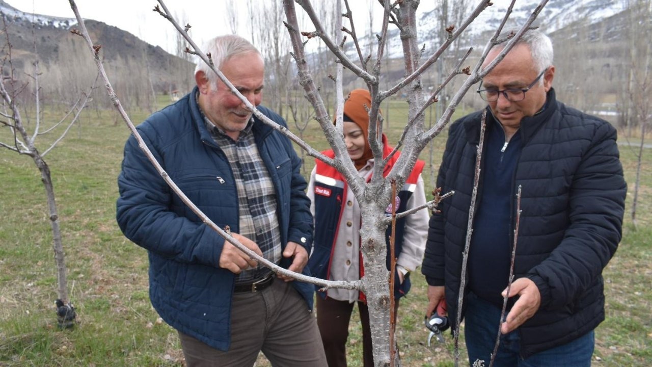Üreticilere aşılama ve budama eğitimi verildi
