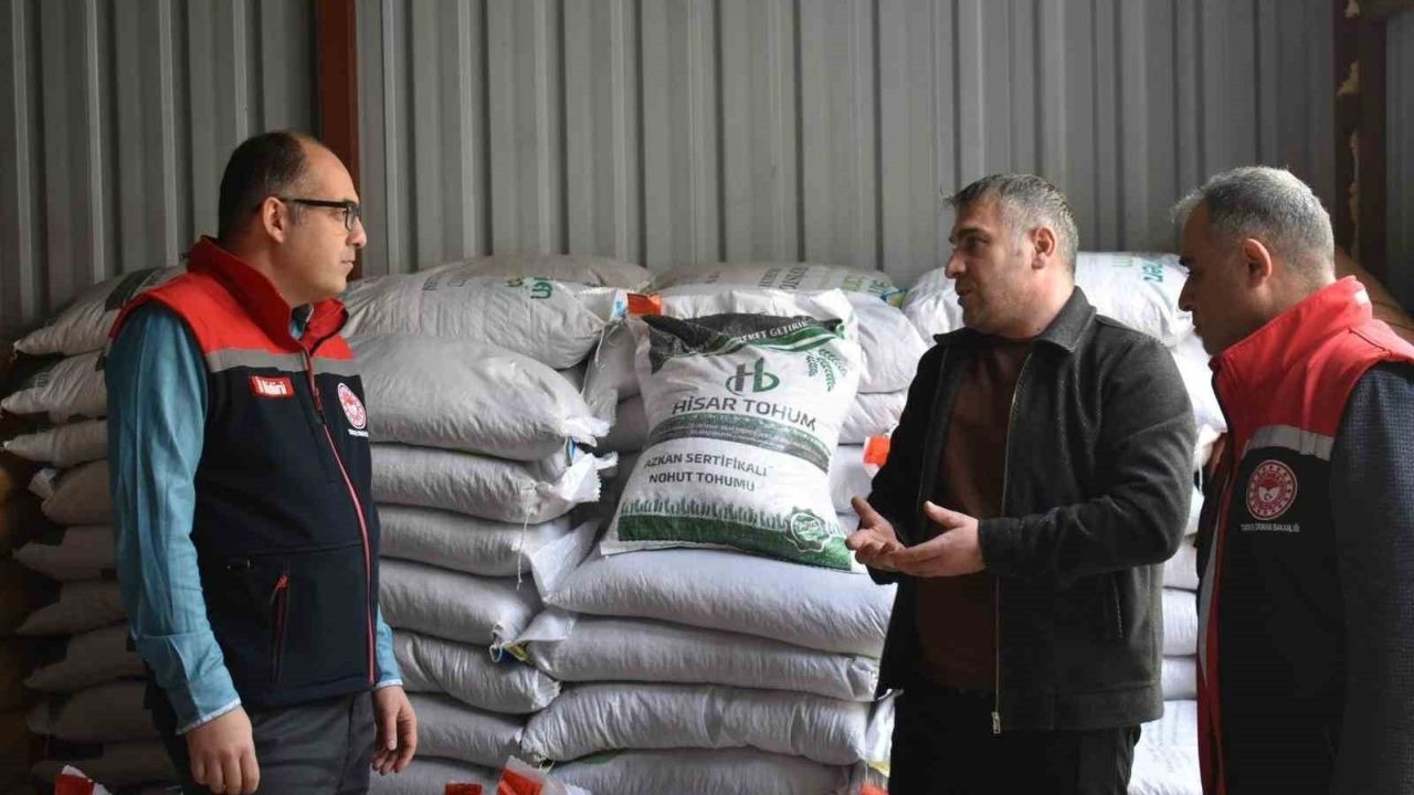 Üreticilere yüzde 50 hibeli yem bezelyesi tohumu dağıtıldı