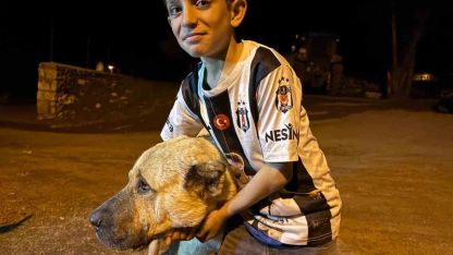 Köyde iki ayının saldırısına uğrayan Sencar’ın imdadına çoban köpeği Kral yetişti