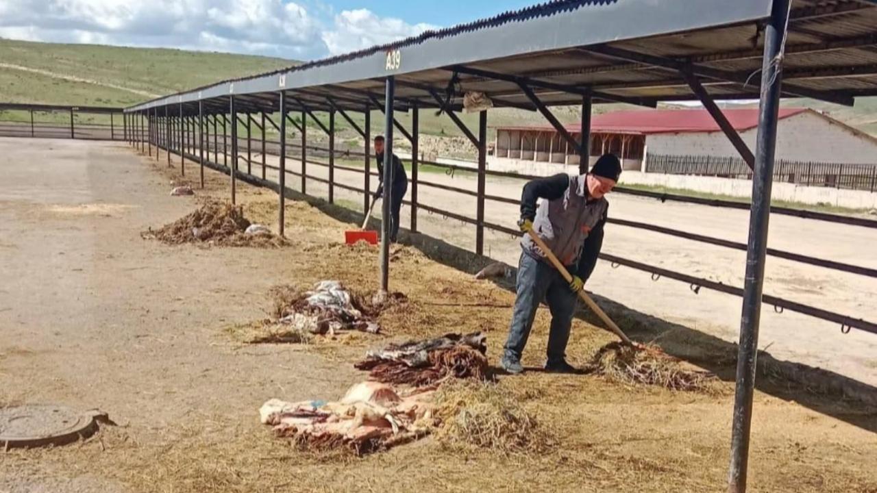 Bayram bitti, temizlik mesaisi başladı