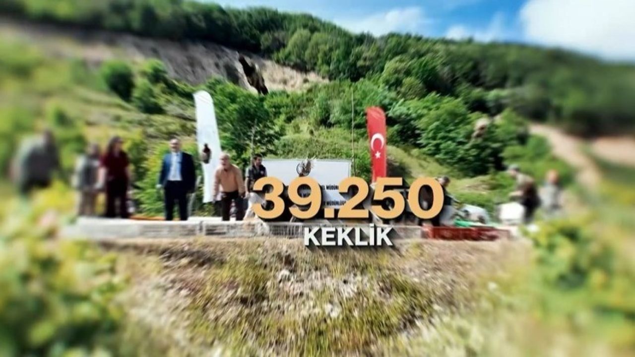 Kene ve kahverengi kokarcaya karşı doğal mücadele: 51 bin keklik ve sülün salınacak