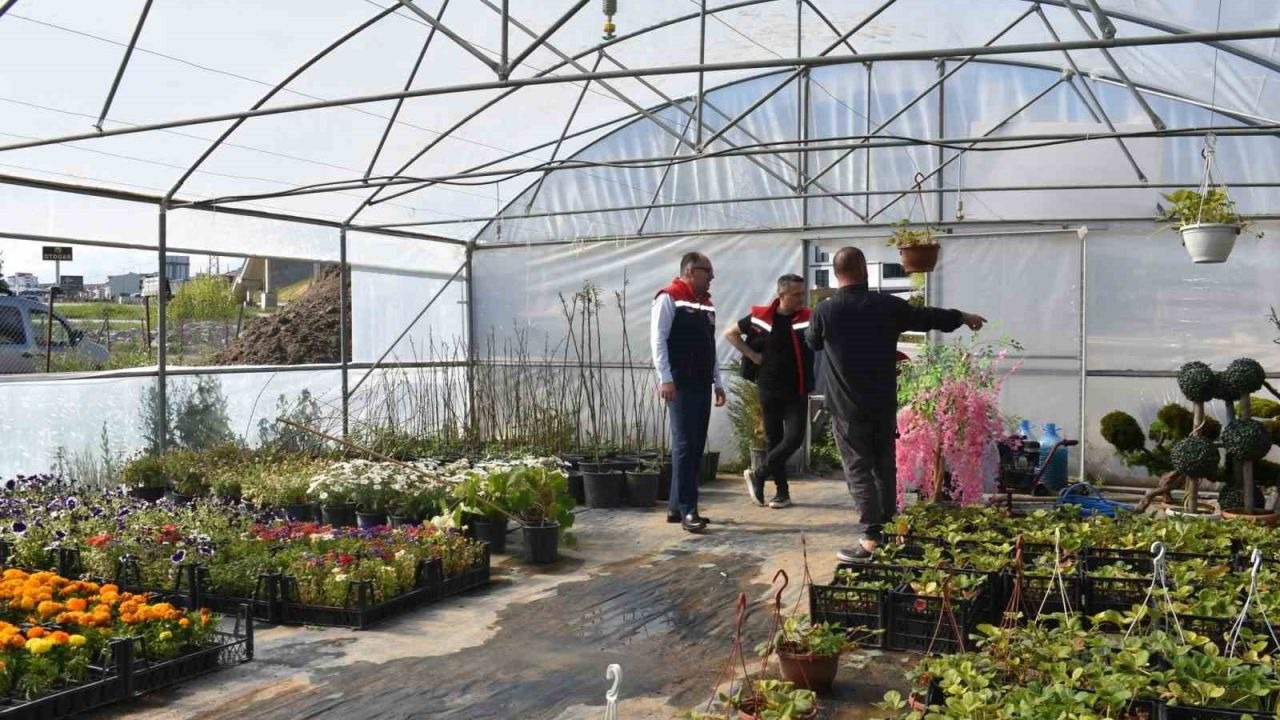 Süs bitkisi ve tıbbi aromatik bitki üretimi yerinde incelendi