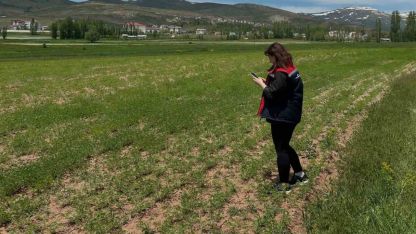 Aydıntepe’de ürün tespit çalışmaları sürüyor