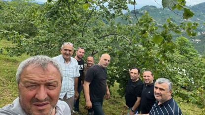 Fındıkta rekolte tespiti çalışmaları başladı