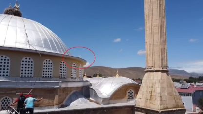 Yuvasına dönemeyen yavru leylek ekipleri harekete geçirdi