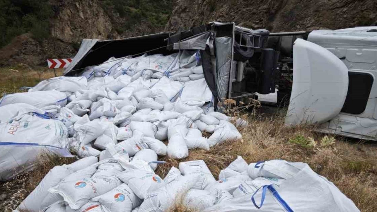 Balık yemi yüklü tır devrildi: Sürücü yaralandı