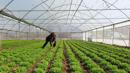 Sera projesi başvuruları devam ediyor: Son gün 24 Temmuz