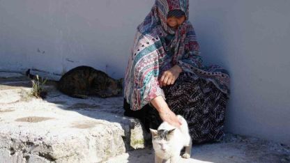 10 yıldır baktığı sokak kedisini kaybetti: "İki gün ağladım"