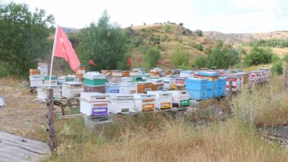 Erzincan’da arıcılık ve vatan sevgisi aynı arılıkta buluştu