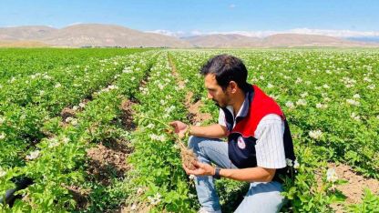Patates üretim alanları hastalık ve zararlılara karşı mercek altında