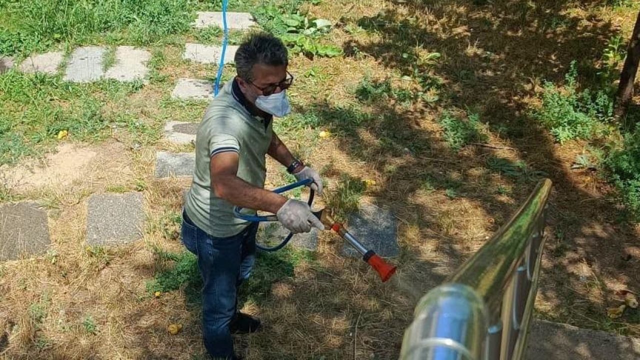 Belediye ekiplerinden larva mücadelesi