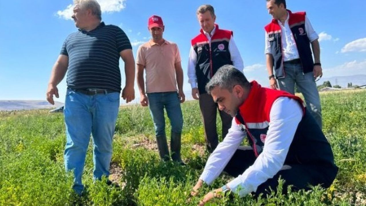 Erzurum’da tarımsal destekler meyvesini veriyor