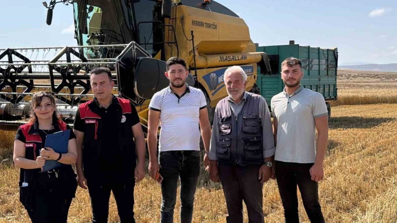 Hububat hasadı başladı: Biçerdöverler mercek altında