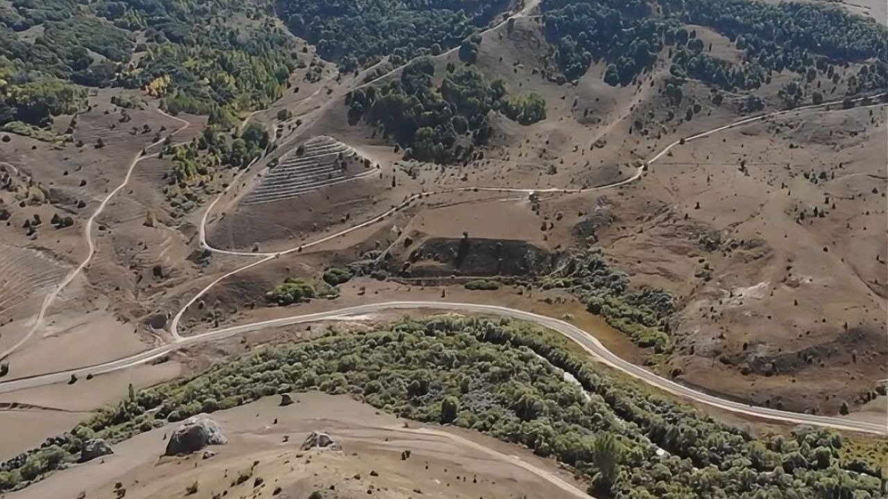 3 projeyle toplam 145 bin fidan toprakla buluşacak