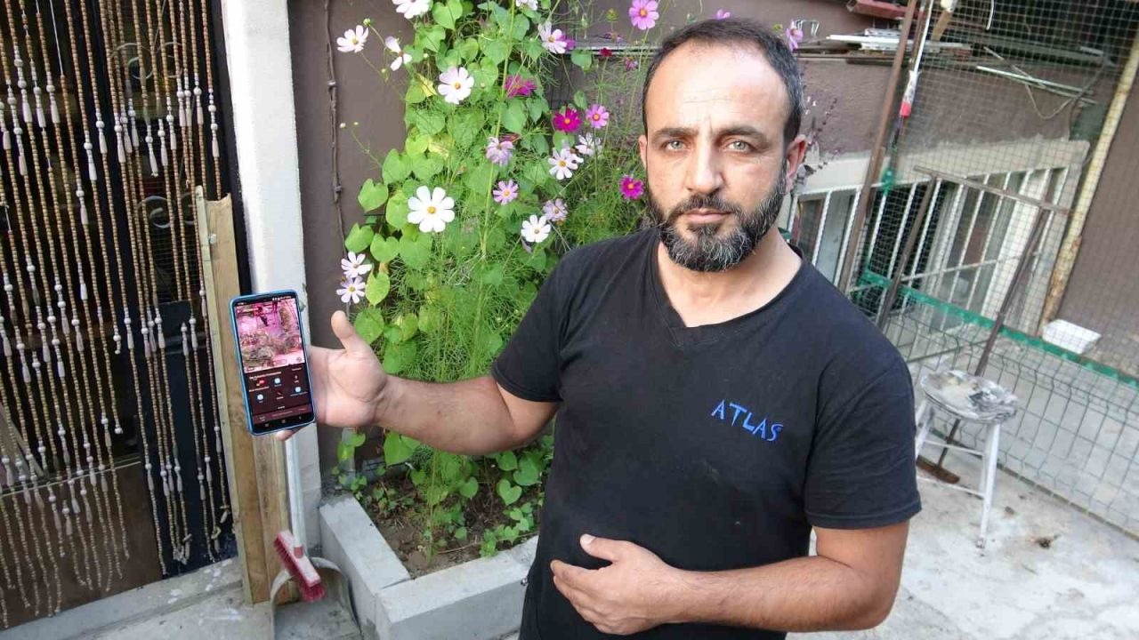 800 bin TL’lik güvercinlerini 24 saat kamera, çelik kapı ve kurtla koruyor