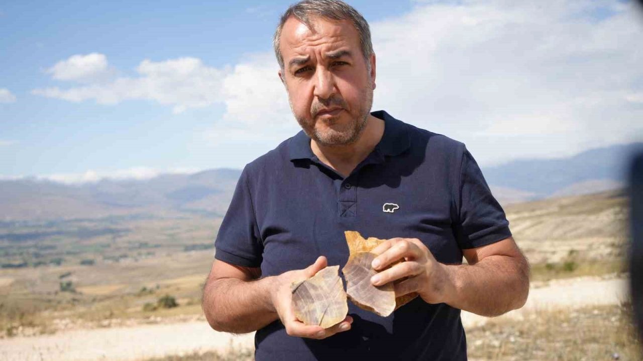 Doğa merakı fosil keşfine dönüştü...