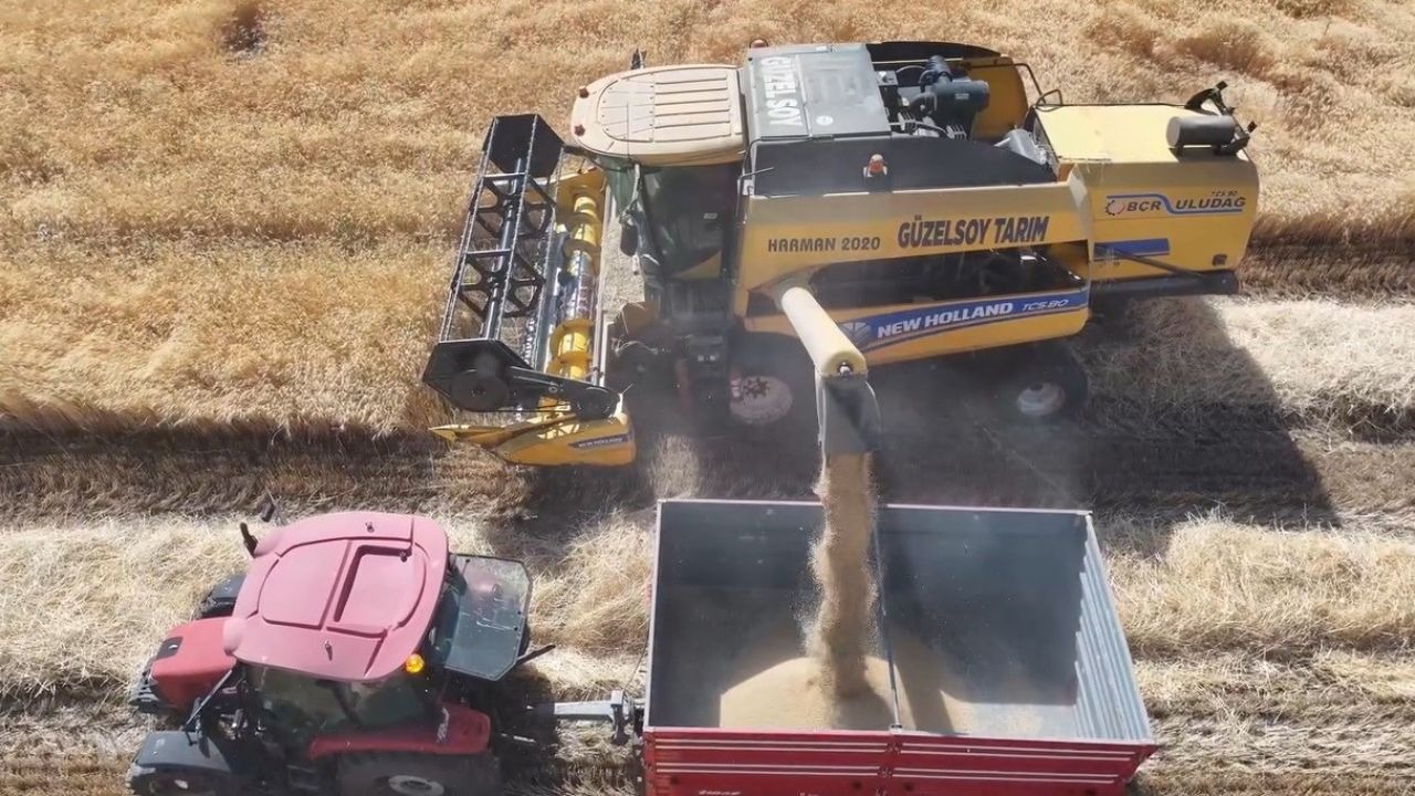 Erzincan’da baraj ve sulama suları tarlaları bereketle buluşturuyor