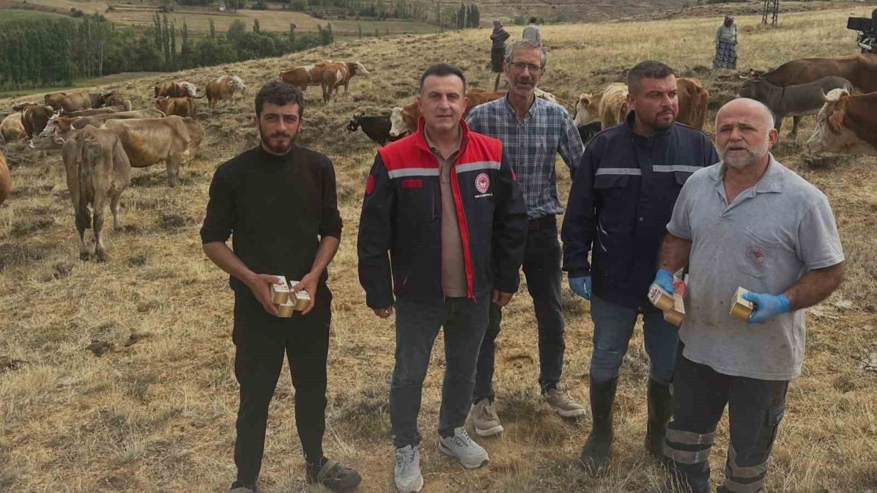 Hayvan yetiştiricilerine zehirlenme uyarısı!