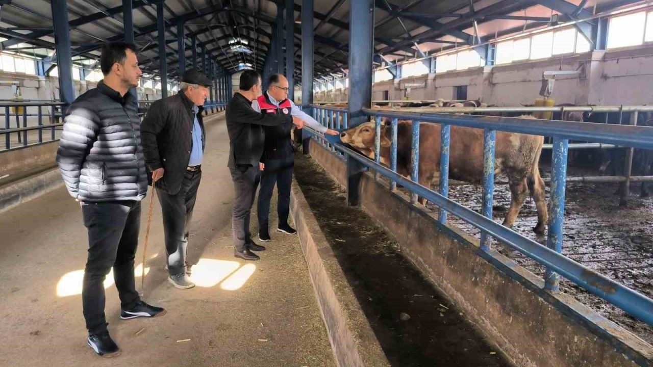 Hibe desteğiyle kurulan 240 büyükbaşlık tesis incelendi
